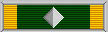 starfleet_conduct_medal.jpeg